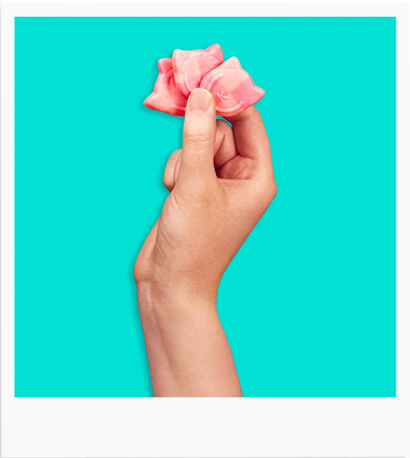 About Us Candy Kittens about-us-candy-kittens