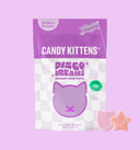 Disco Dreams Festival