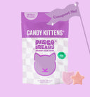 Disco Dreams Festival